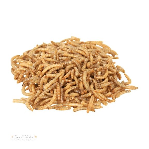 Trixie Hüllő Eledel Szárítotott Lisztkukacok 70g