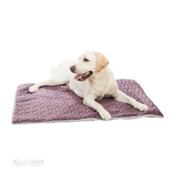 Trixie Takaró Xmas Lila/Szürke