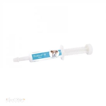 Probicol-H paszta K+M 15 ml