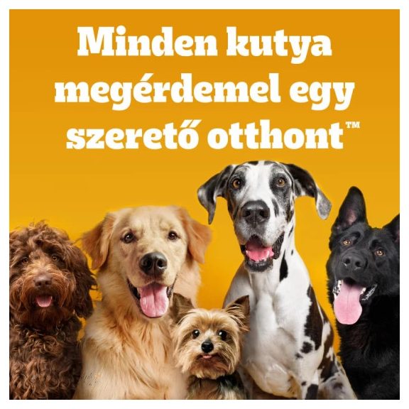 Pedigree Biscrok 500g