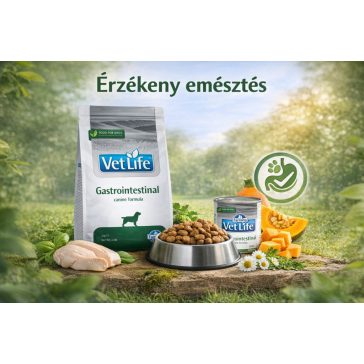 Érzékeny emésztés