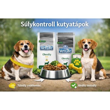 Súlykontroll