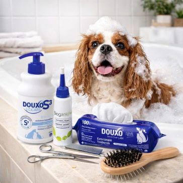  Ollók, fésűk és ápolószerek