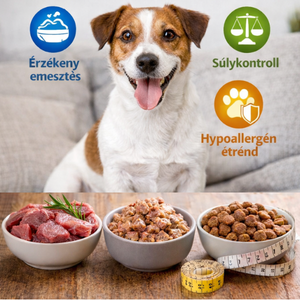 Érzékeny emésztésű, hypoallergén és súlykontrollos kutyák etetése – hogyan válassz jól?
